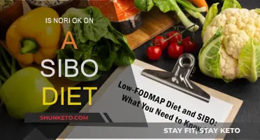 The Benefits of Nori in a SIBO Diet