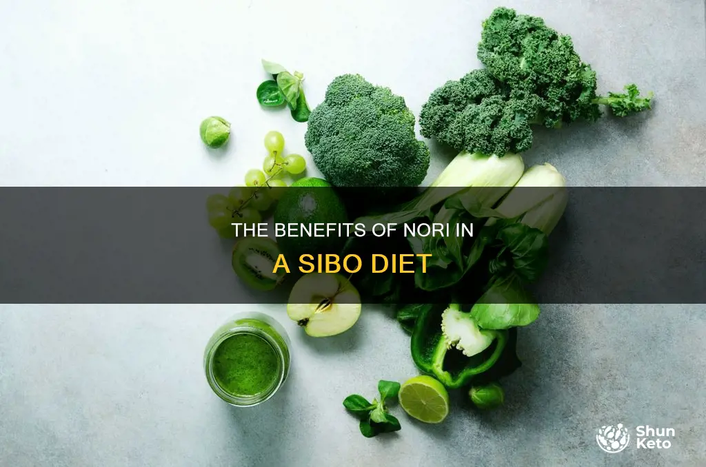 is nori ok on a sibo diet