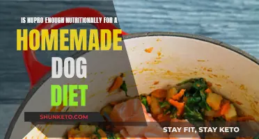 Nupro Nutrition: Is It Enough for Homemade Dog Food?