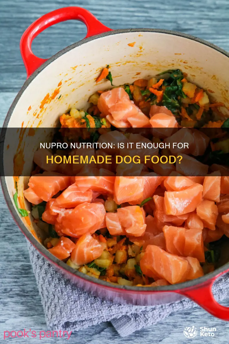 is nupro enough nutritionally for a homemade dog diet