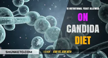 Nutritional Yeast and Candida Diet: What's the Verdict?
