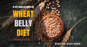 Oat Bran: Friend or Foe on Wheat Belly Diet?