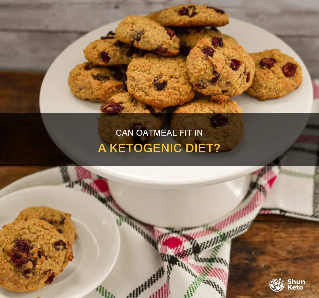 is oatmeal allowed on a ketogenic diet