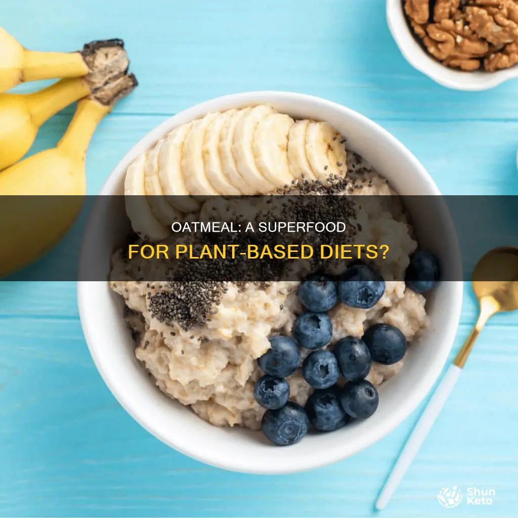 is oatmeal ok for plant based diet