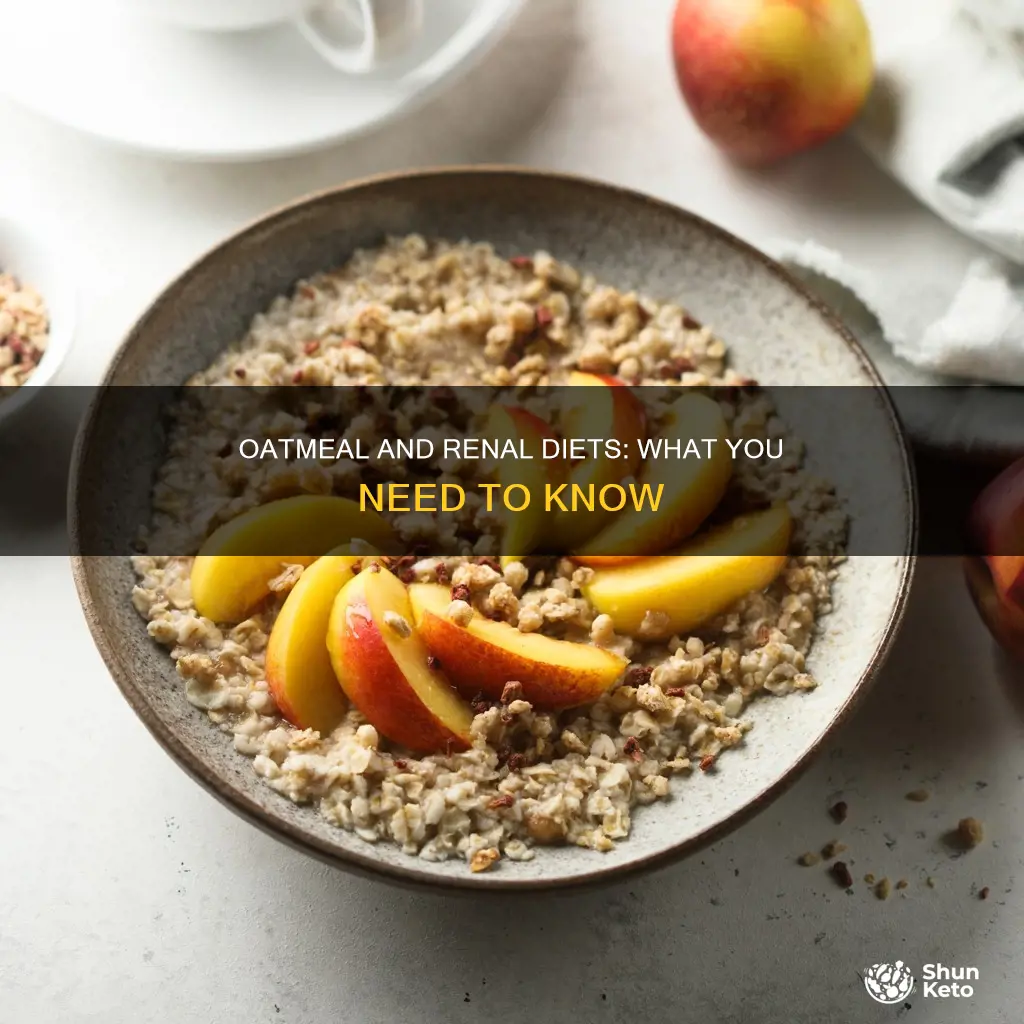 is oatmeal ok for renal diet