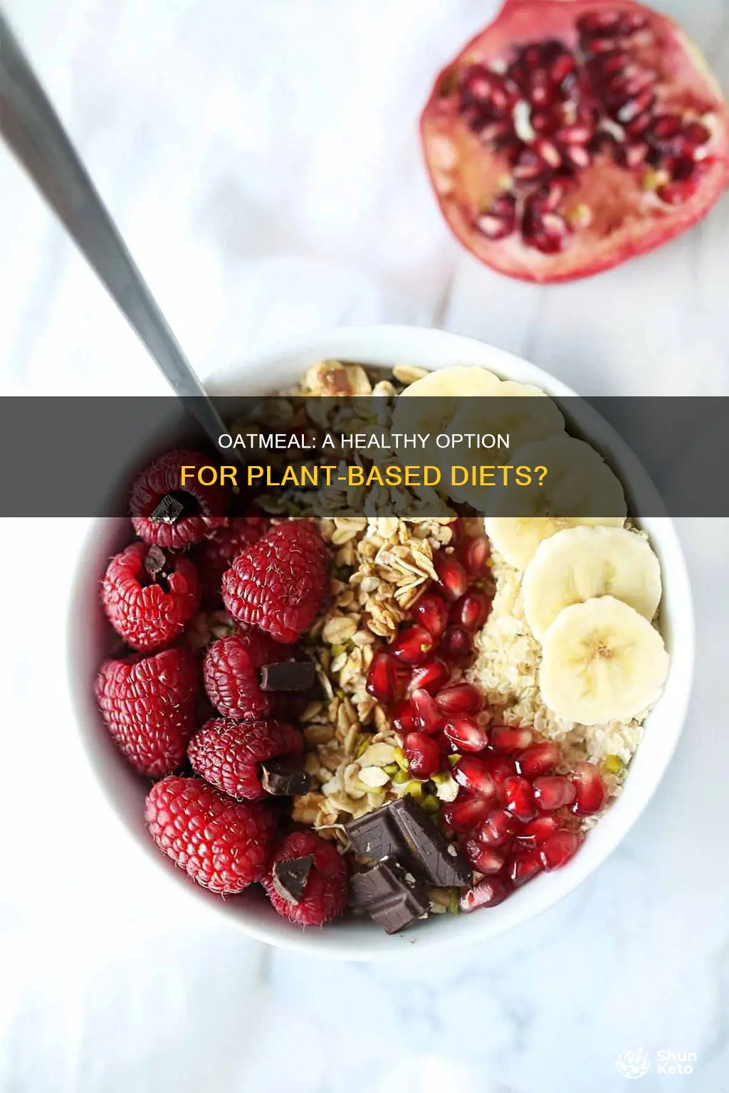 is oatmeal ok for you on plabt based diet