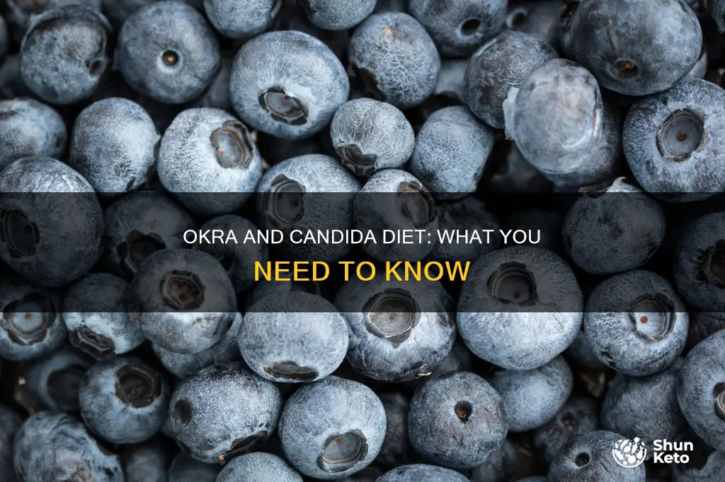 is okra ok for candida diet