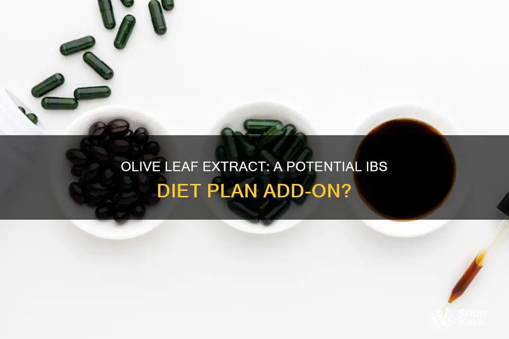 is olive leaf extract on the ibs diet plan