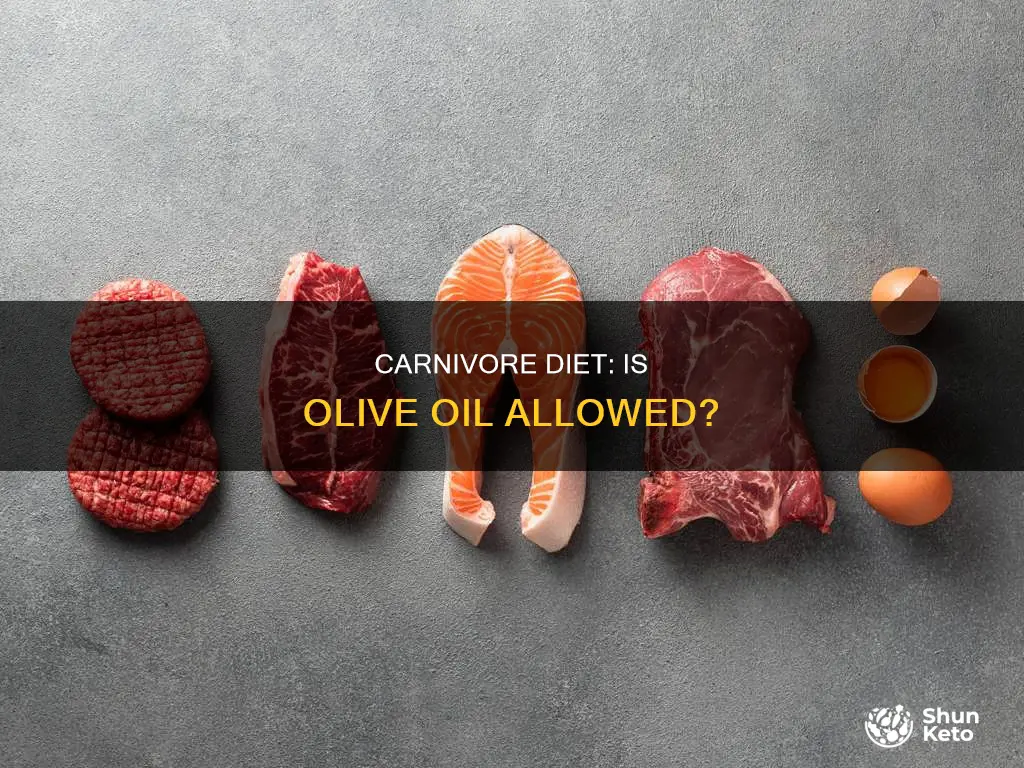 is olive oil allowed on carnivore diet