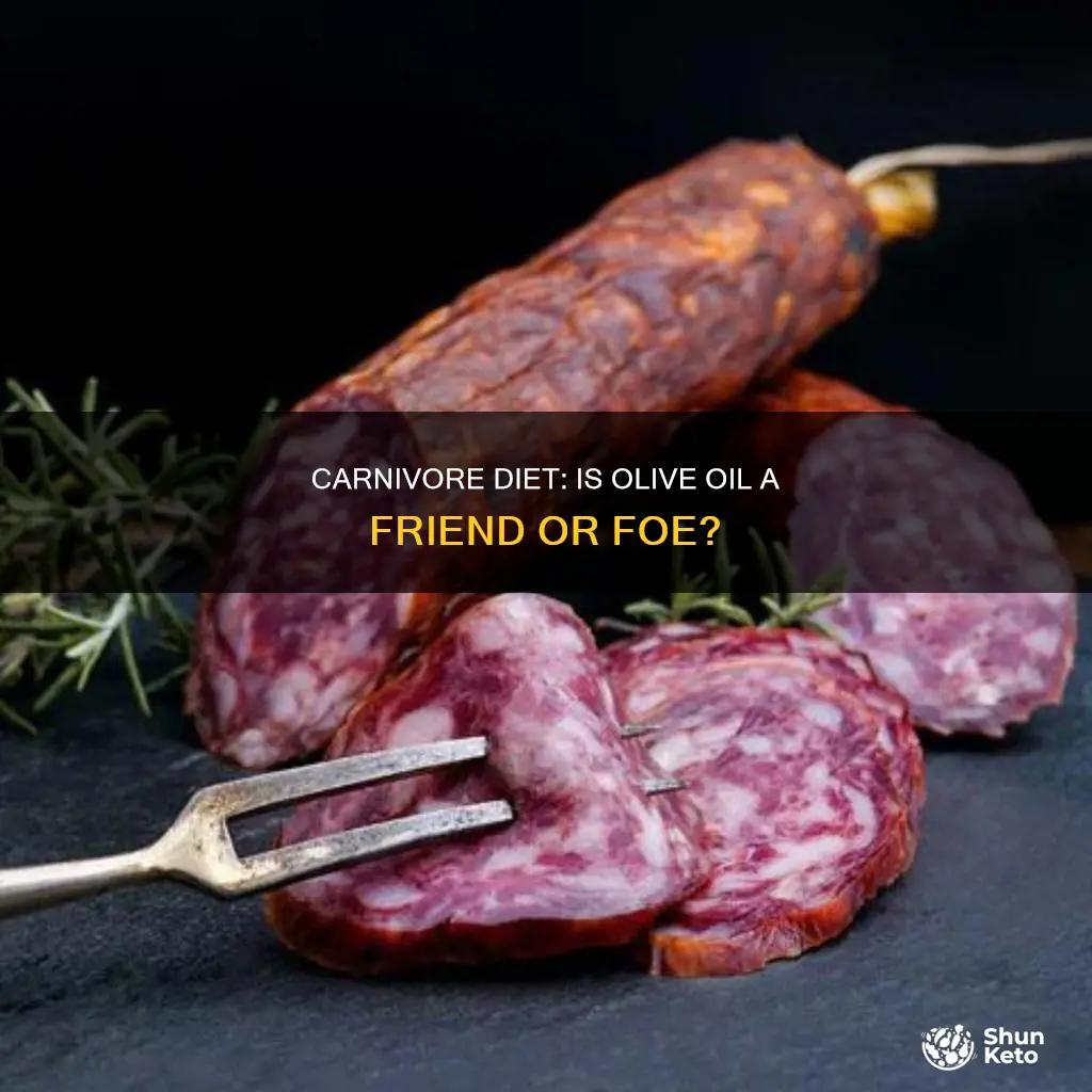 is olive oil ok for carnivore diet
