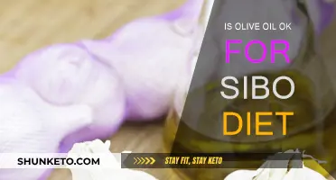 Olive Oil and SIBO Diet: What's the Verdict?
