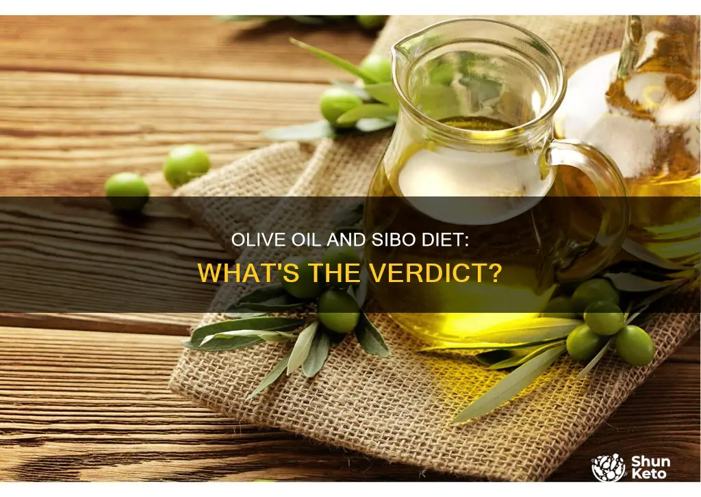 is olive oil ok for sibo diet