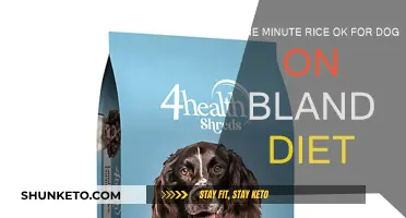 Is Rice a Good Option for Dogs on a Bland Diet?