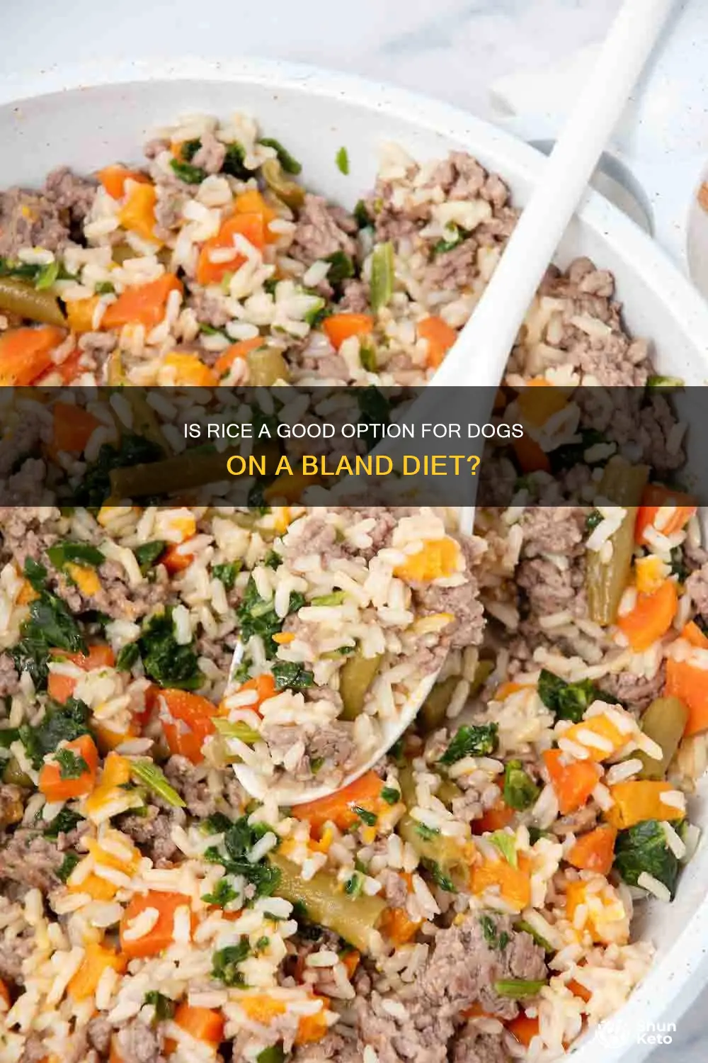 is one minute rice ok for dog on bland diet