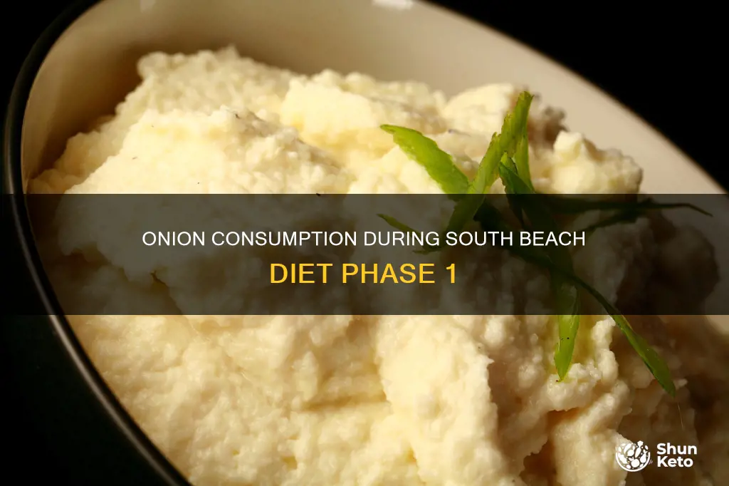 is onion allowed in southbeach diet phase 1
