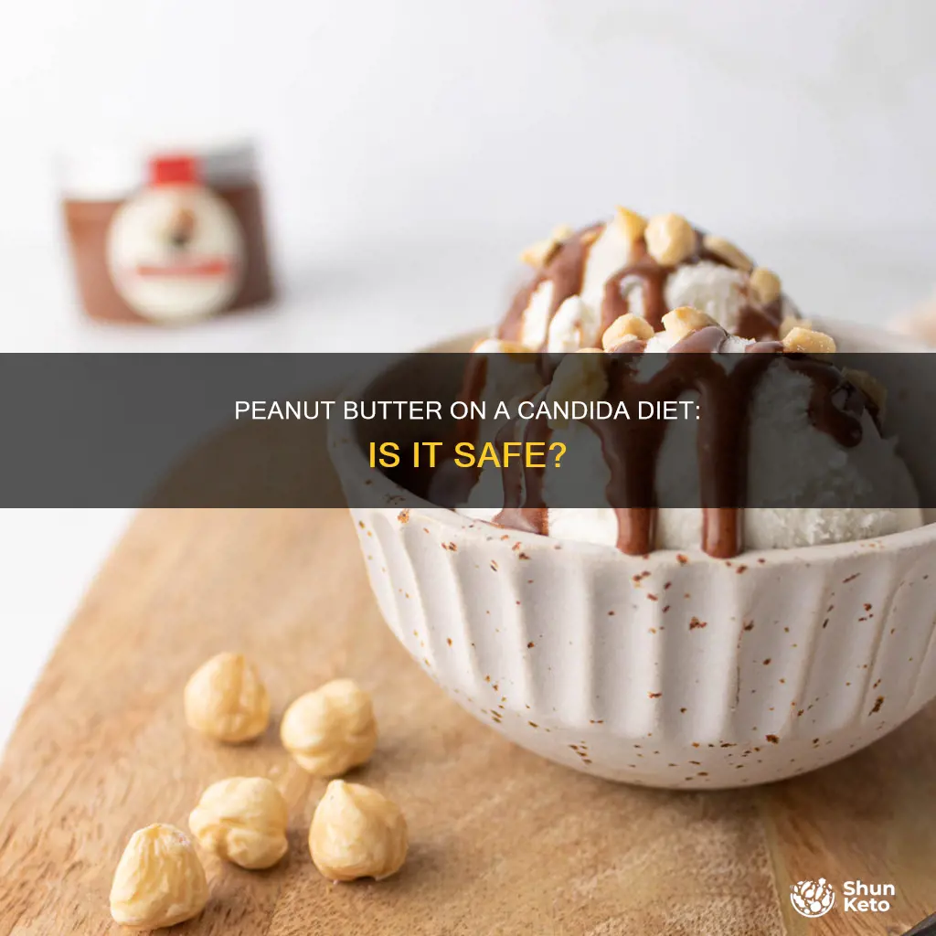 is organic peanut butter ok for candida diet