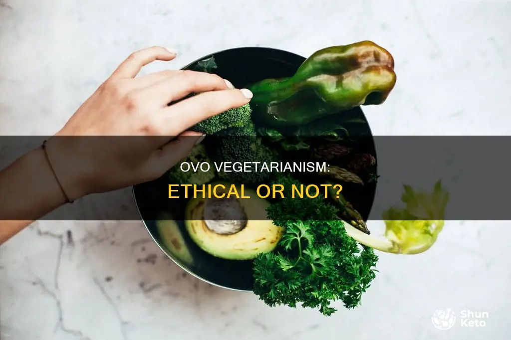 is ovo vegetarian diet ethical
