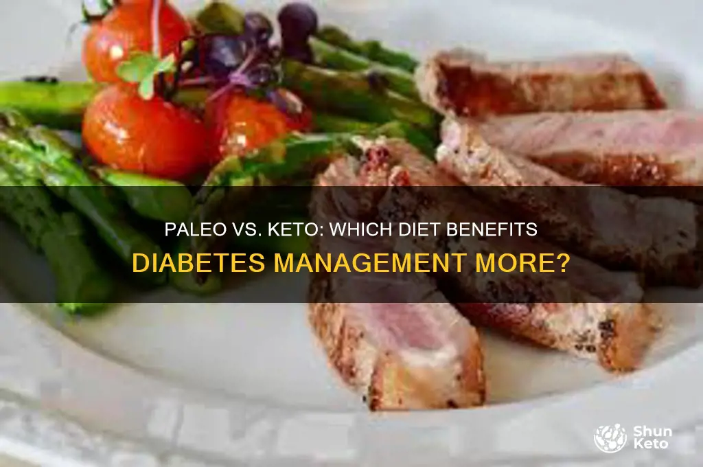 is paleo and keto diet better for a diabetes