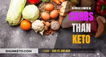 Paleo vs Keto: Which Low-Carb Diet is Better?