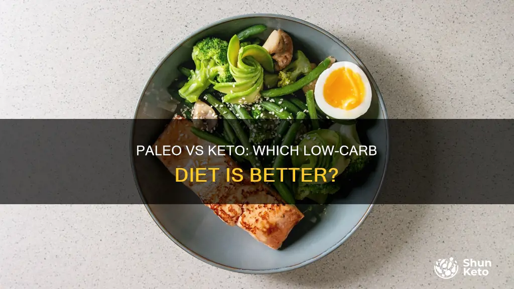 is paleo lower in carbs than keto