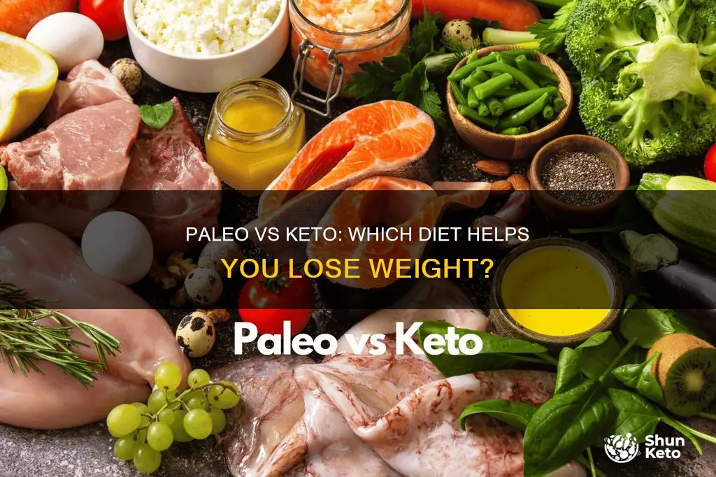 is paleo or keto better for losing weight