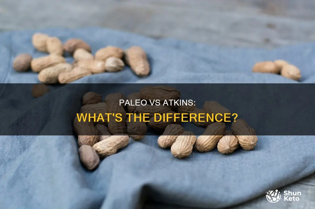 is paleolithic diet the same as the atkins diet