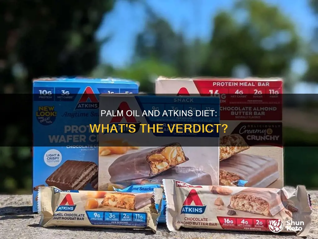 is palm oil allowed on atkins diet