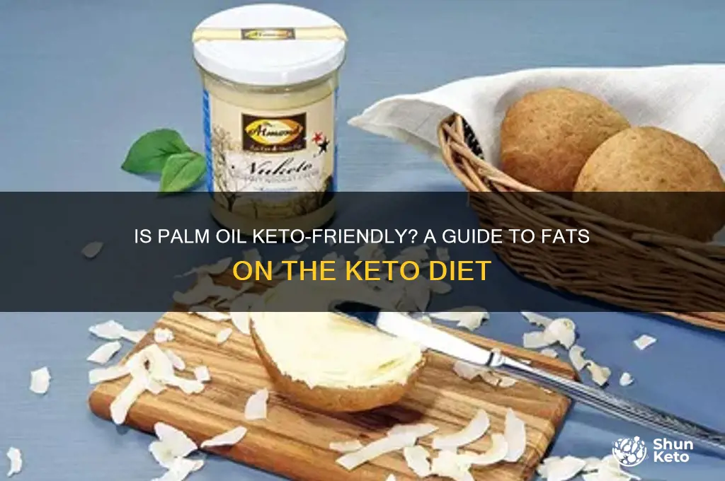 is palm oil allowed on keto diet