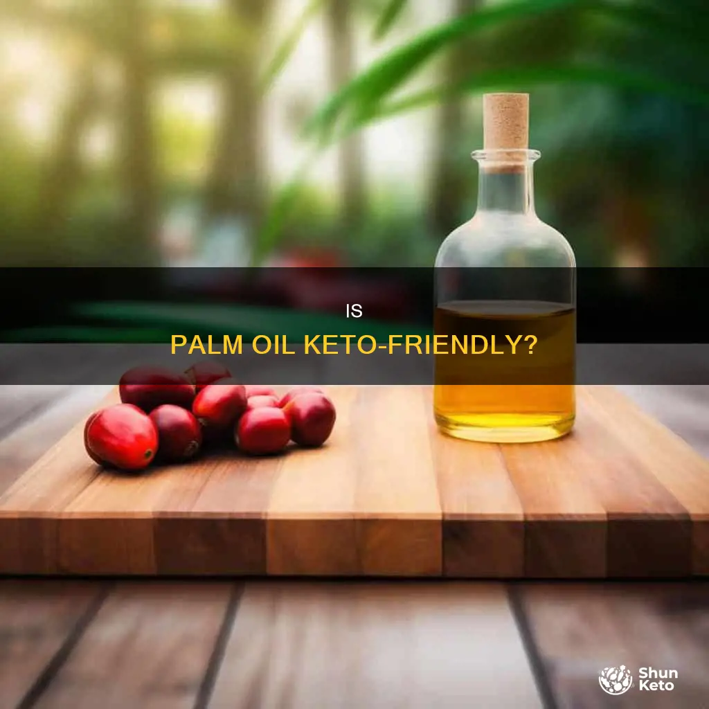 is palm oil keto approved