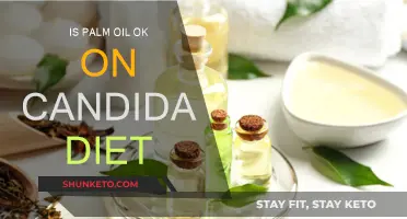 Palm Oil and Candida Diet: What's the Verdict?