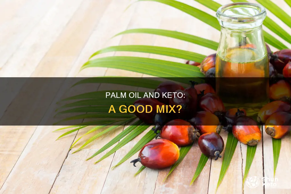 is palm oil okay for keto