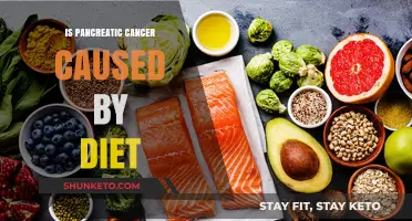 Diet and Pancreatic Cancer: What's the Link?