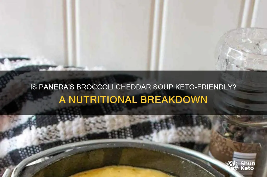 is panera broccoli cheddar soup keto
