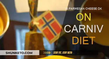 Parmesan Cheese on Carnivore Diet: Yay or Nay?