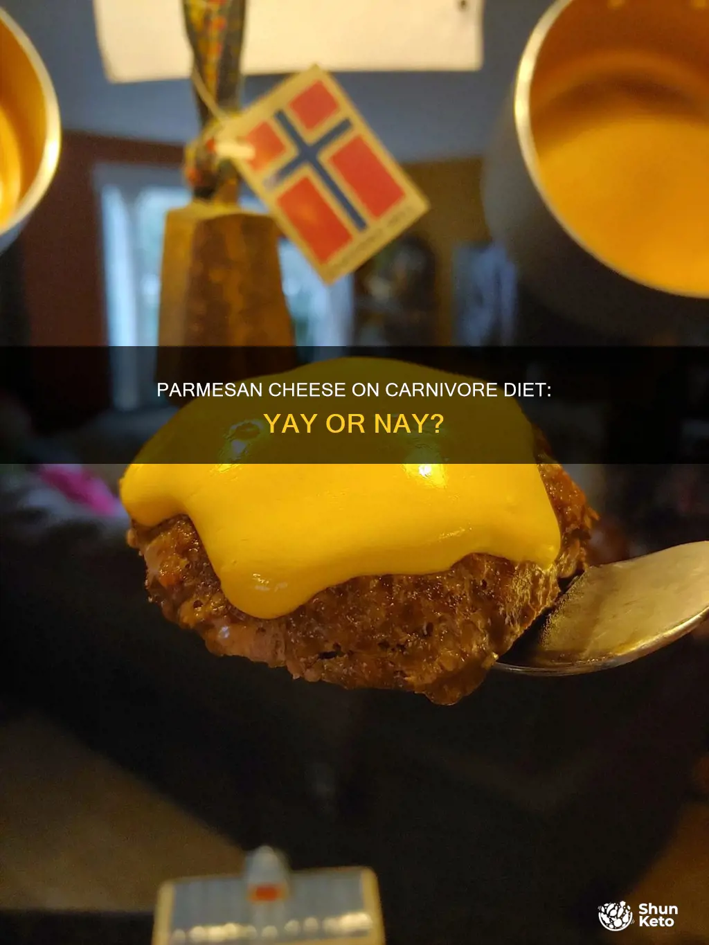 is parmesan cheese ok on carnivore diet