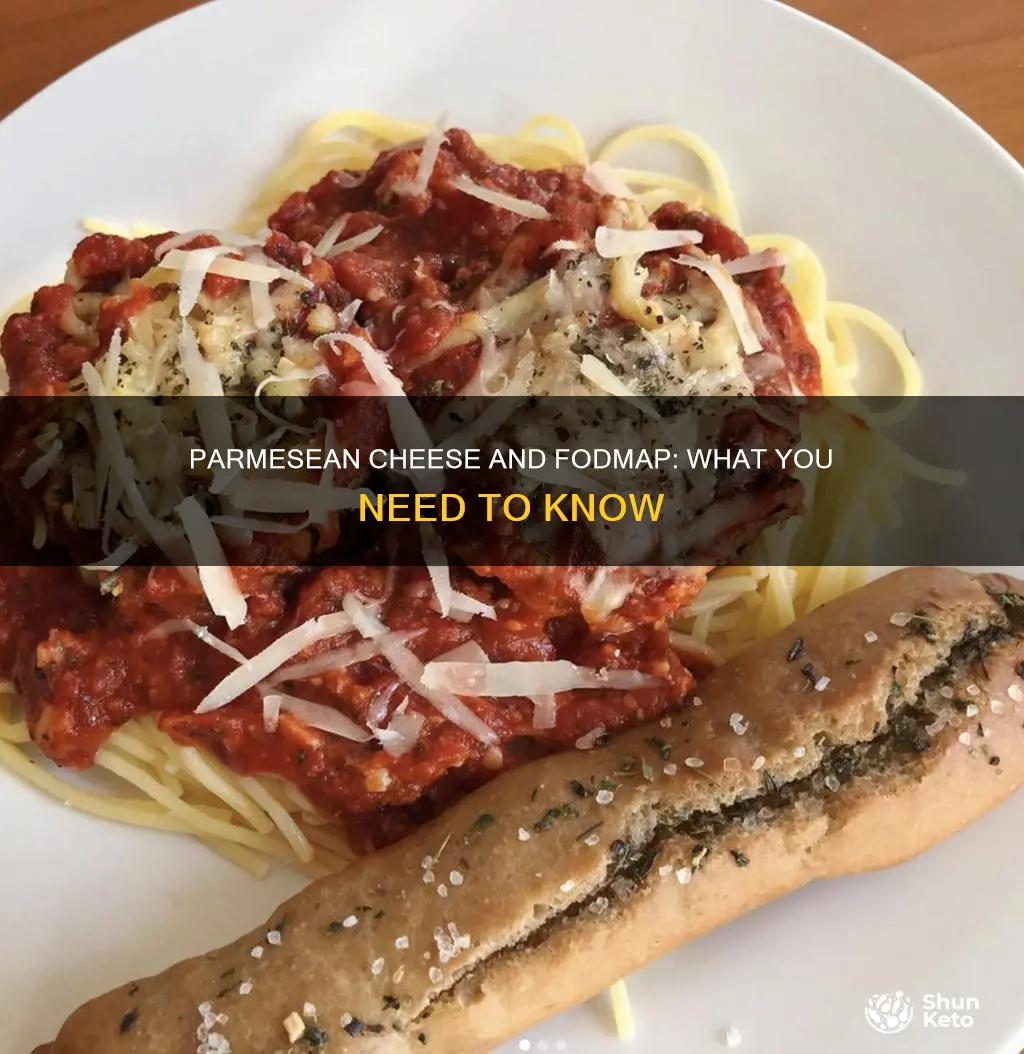 is parmesean cheese ok on fodmore diet