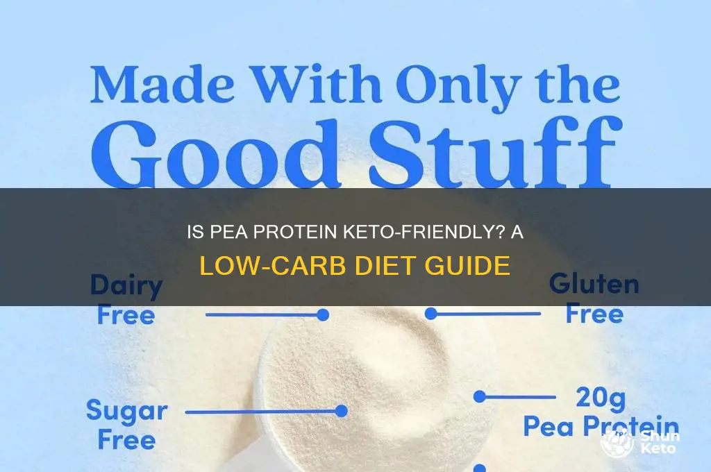 is pea protein ok for keto diet