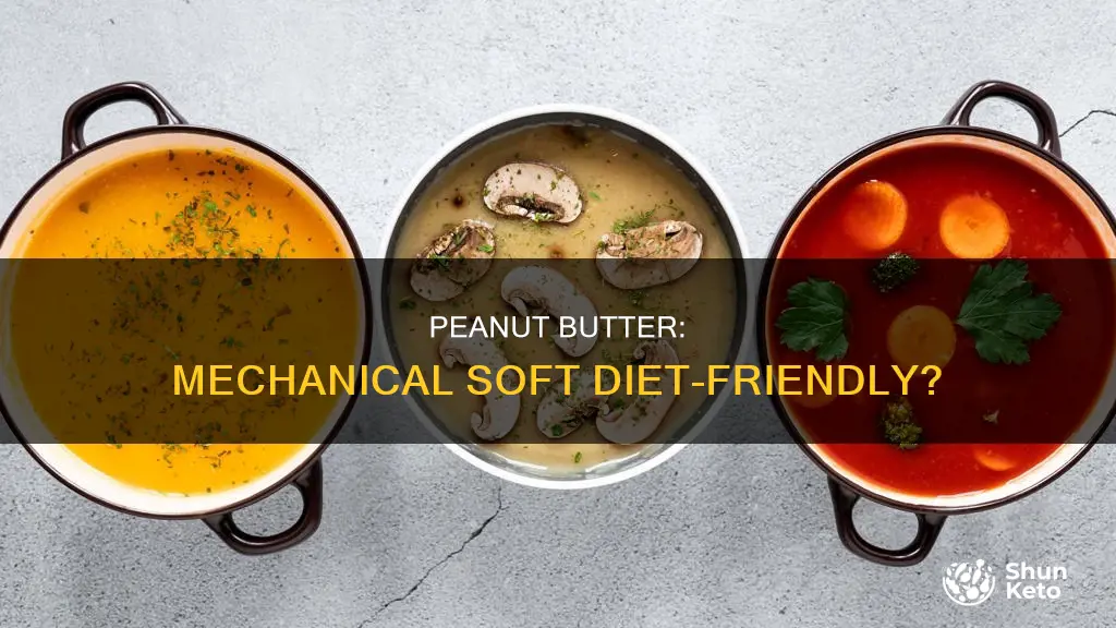 is peanut butter allowed on a mechanical soft diet