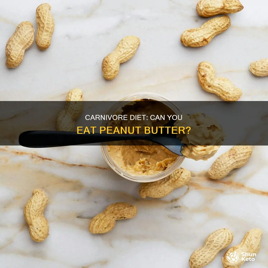 is peanut butter allowed on the carnivore diet