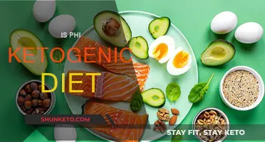 Phi Ketogenic Diet: Healthy or Harmful?