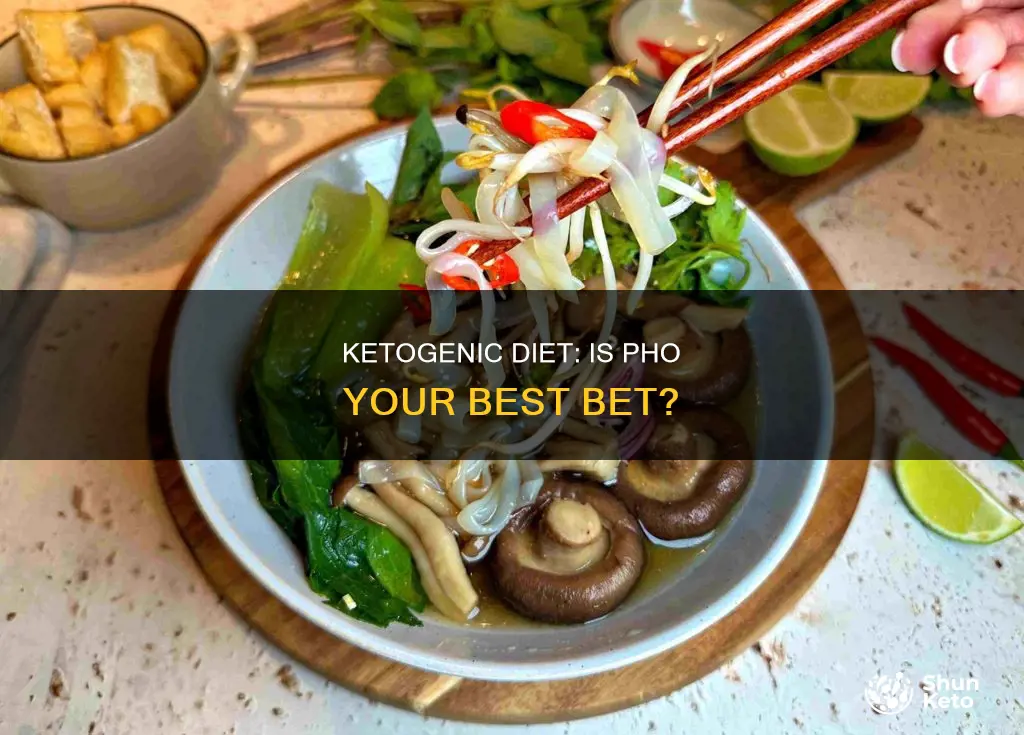is pho ketogenic diet