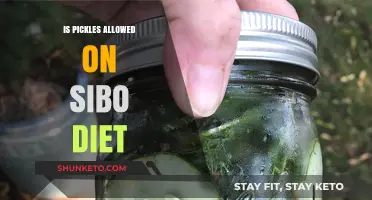Pickles on a SIBO Diet: Safe or Not?
