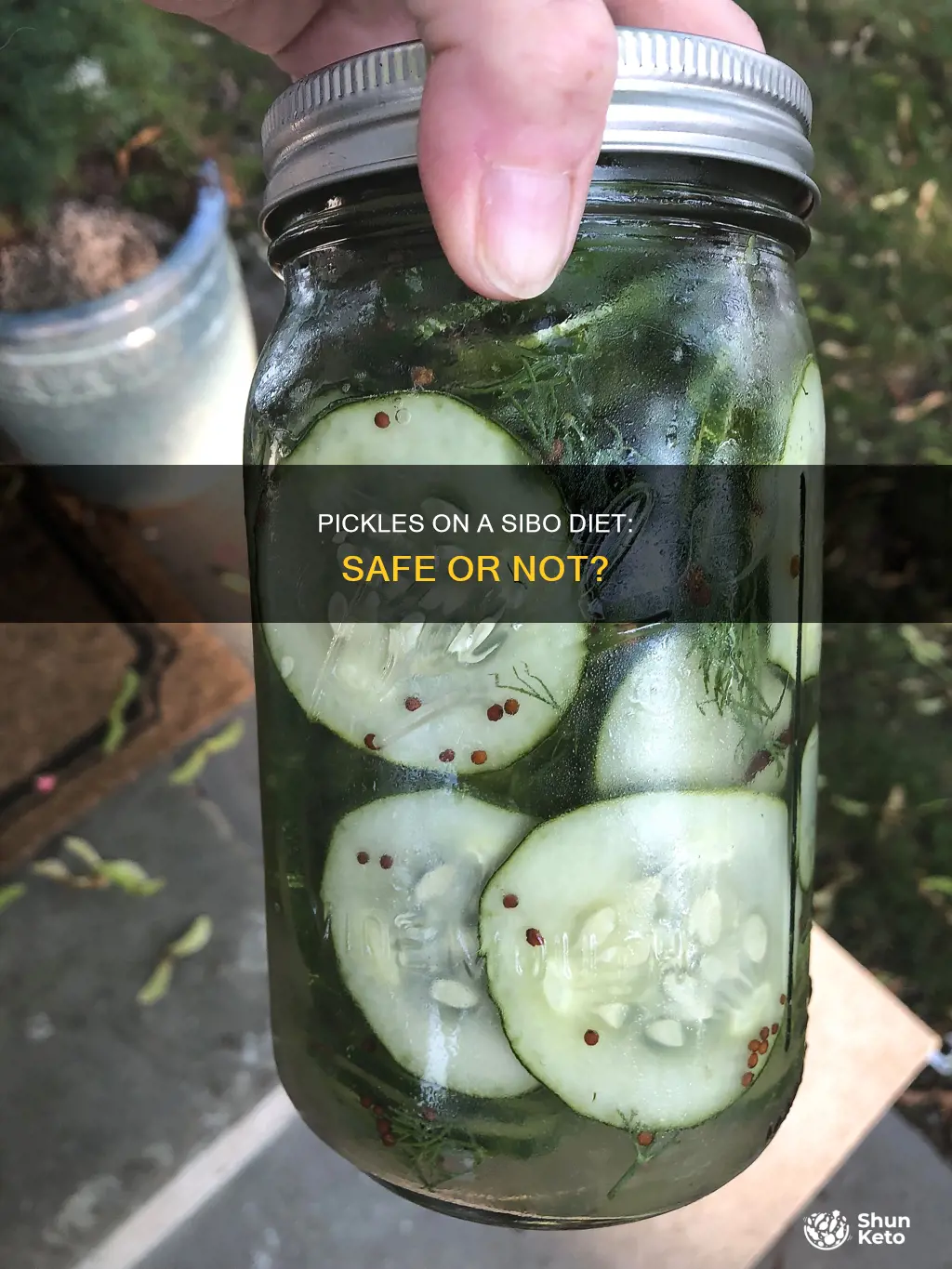 is pickles allowed on sibo diet