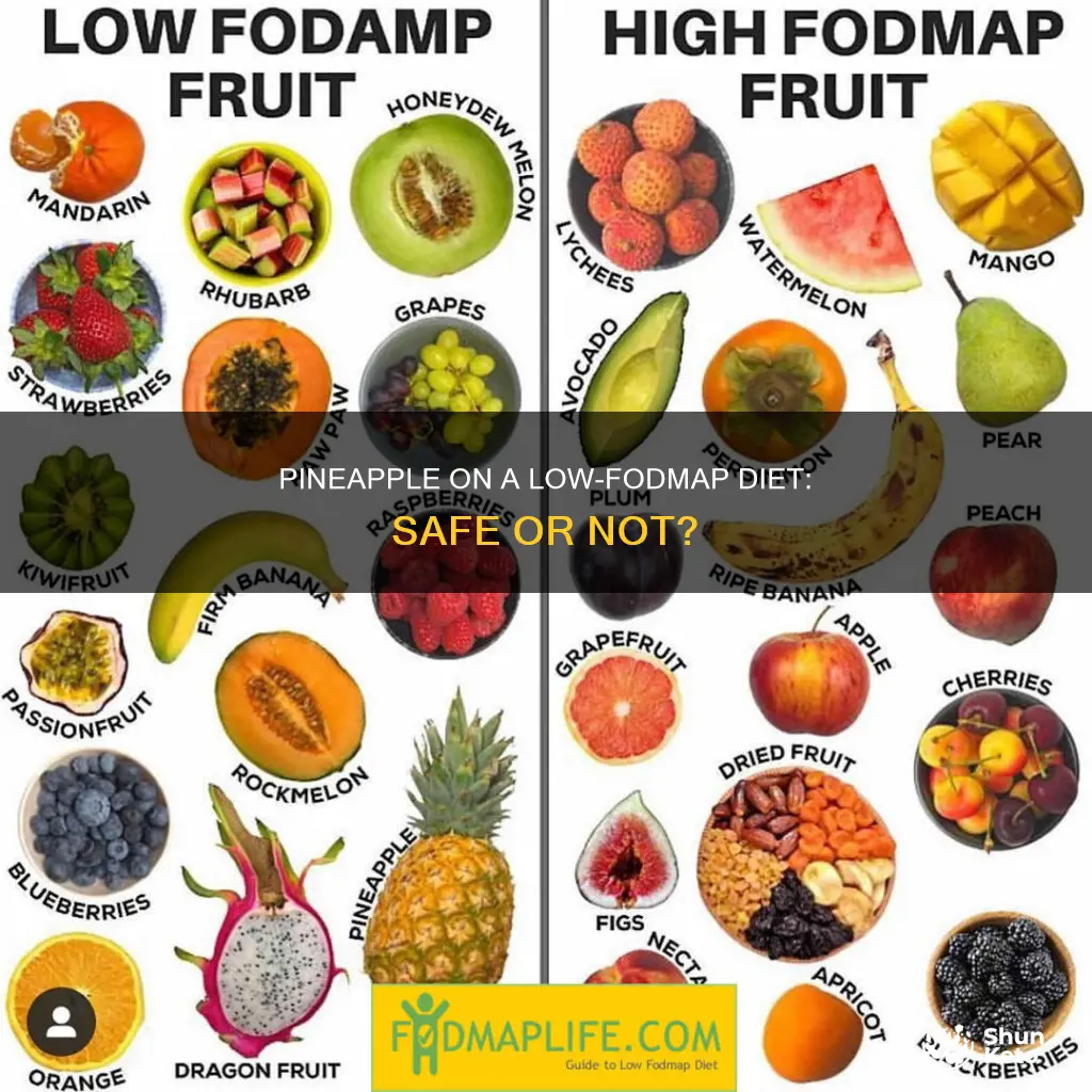 is pineapple allowed on fodmap diet
