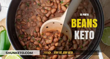 Are Pinto Beans Keto-Friendly? Nutrition Facts and Low-Carb Alternatives
