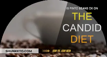 Pinto Beans and Candida Diet: What's the Verdict?