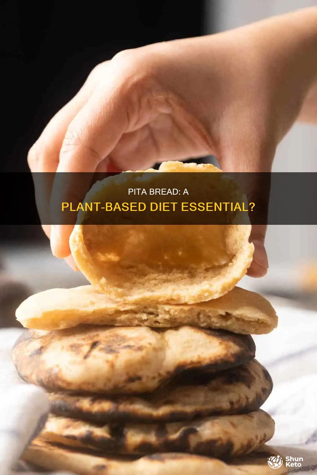 is pita bread o plant based diet