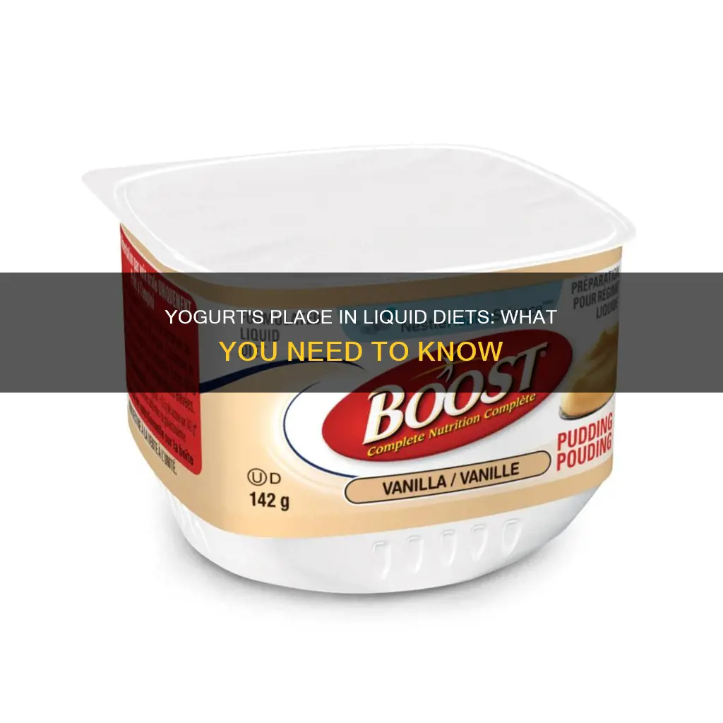 is plain yogurt a full liquid diet