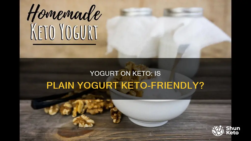 is plain yogurt considered a keto food