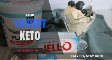Is Plain Yogurt Keto-Friendly? Unlocking Its Role in Low-Carb Diets